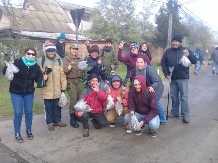 Positivo operativo de limpieza y plantación de árboles en Linares