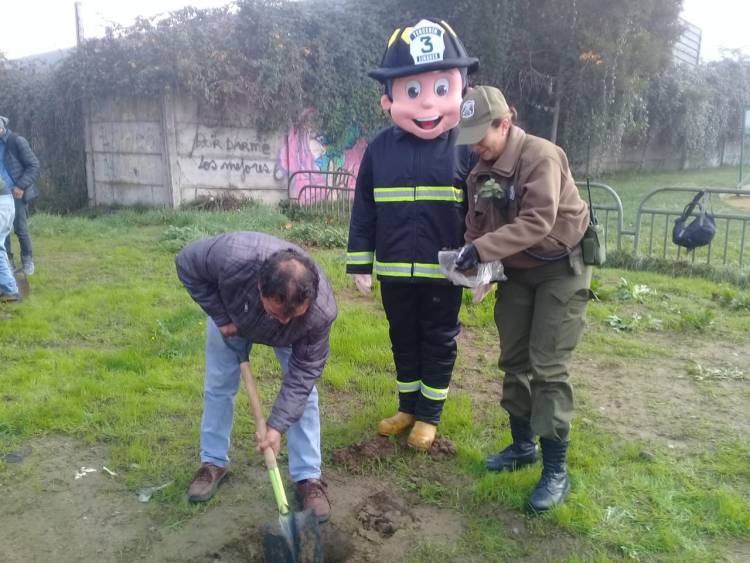 Positivo operativo de limpieza y plantación de árboles en Linares