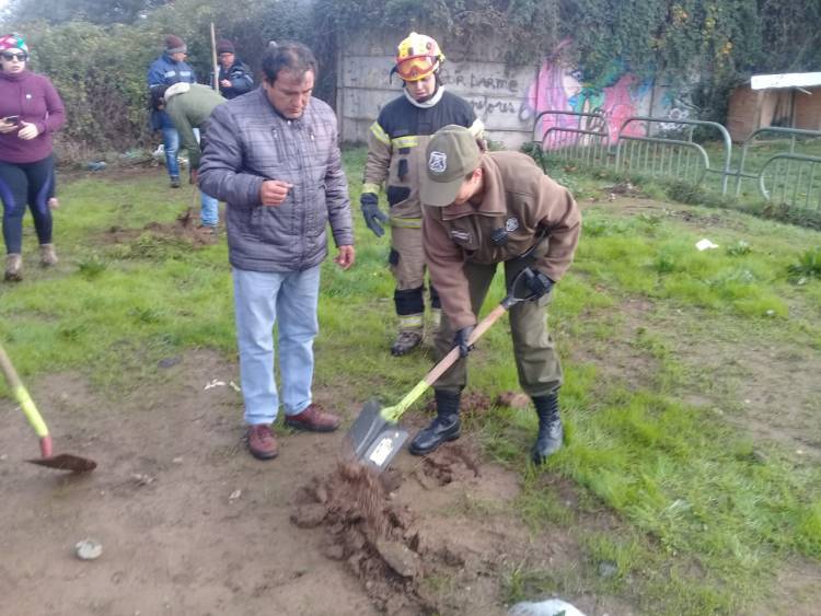 Positivo operativo de limpieza y plantación de árboles en Linares