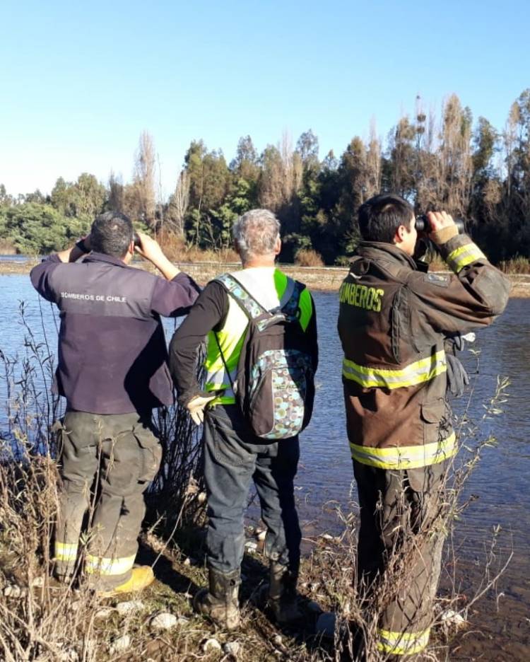 Semana clave en caso “Cristóbal Lobos Vivanco”