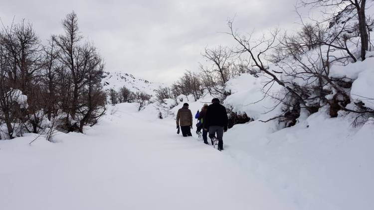 “Parque Guaiquivilo” podría ser Santuario de la Naturaleza