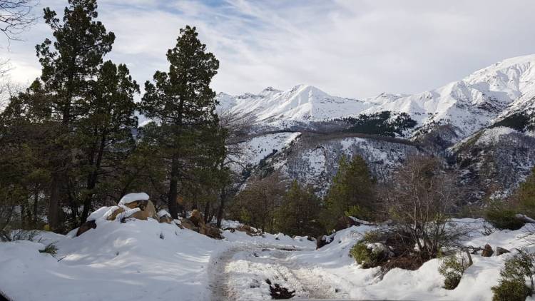 “Parque Guaiquivilo” podría ser Santuario de la Naturaleza