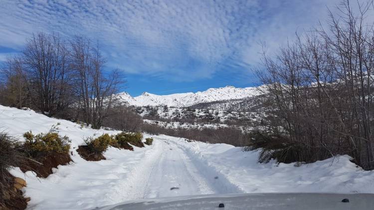 “Parque Guaiquivilo” podría ser Santuario de la Naturaleza