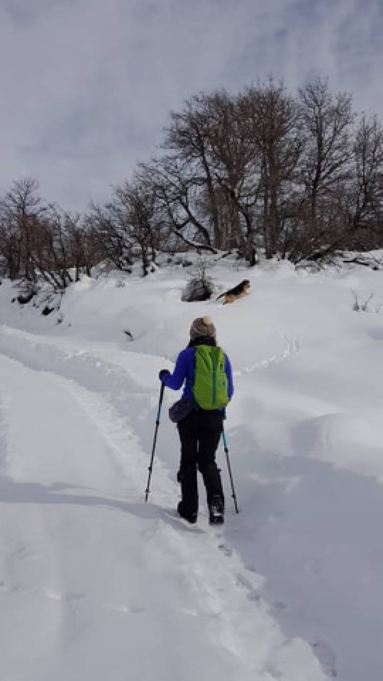 “Parque Guaiquivilo” podría ser Santuario de la Naturaleza