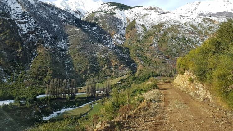 “Parque Guaiquivilo” podría ser Santuario de la Naturaleza