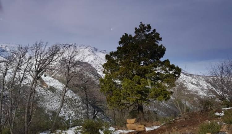 “Parque Guaiquivilo” podría ser Santuario de la Naturaleza