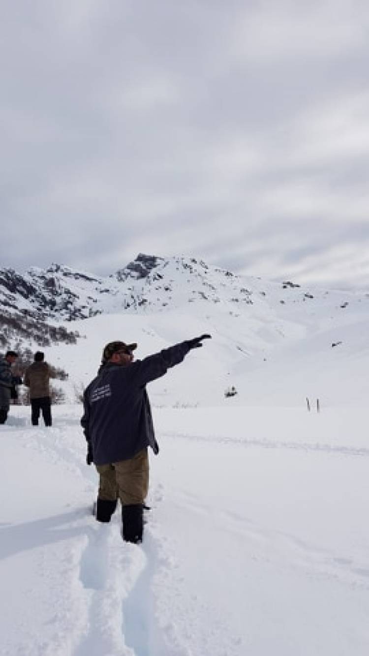 “Parque Guaiquivilo” podría ser Santuario de la Naturaleza