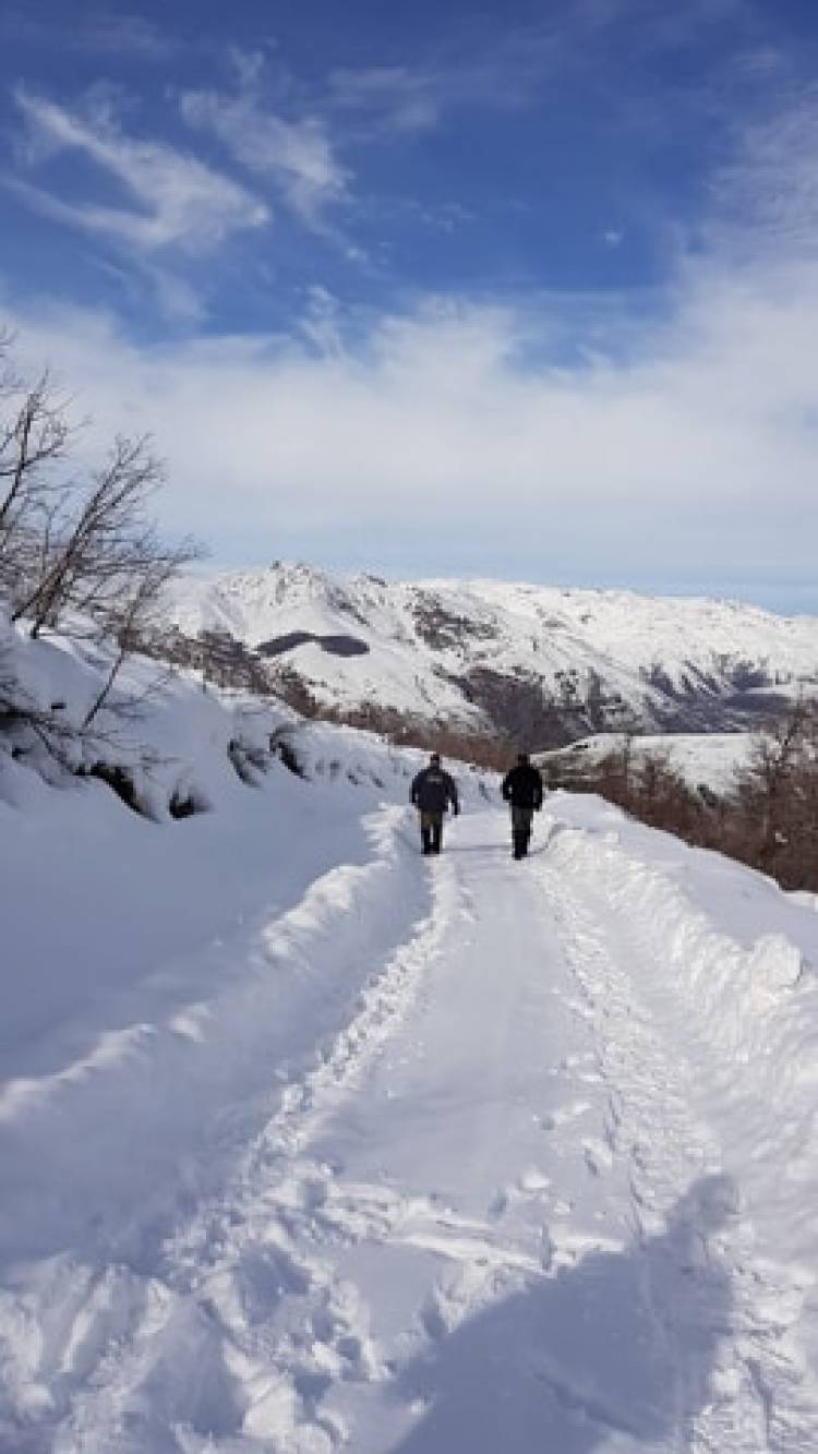 “Parque Guaiquivilo” podría ser Santuario de la Naturaleza