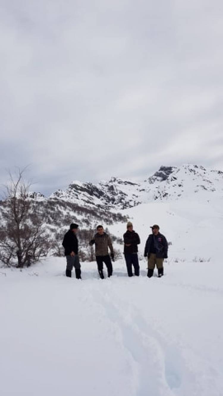 “Parque Guaiquivilo” podría ser Santuario de la Naturaleza