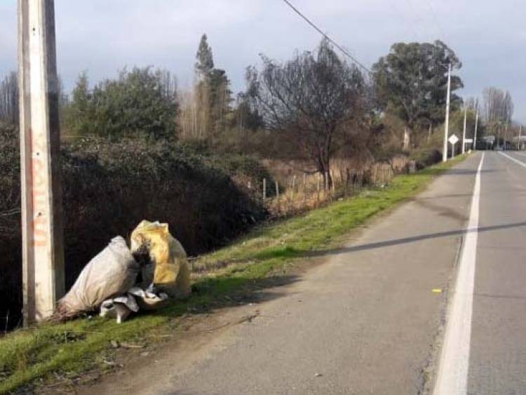 Operativos de limpieza en ruta a las localidades de San Antonio y Estadio Sur