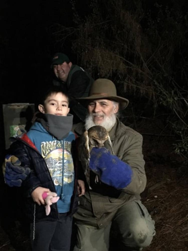 “Casa Noé, Mundo Animal” libera 10 lechuzas en sector embalse Ancoa