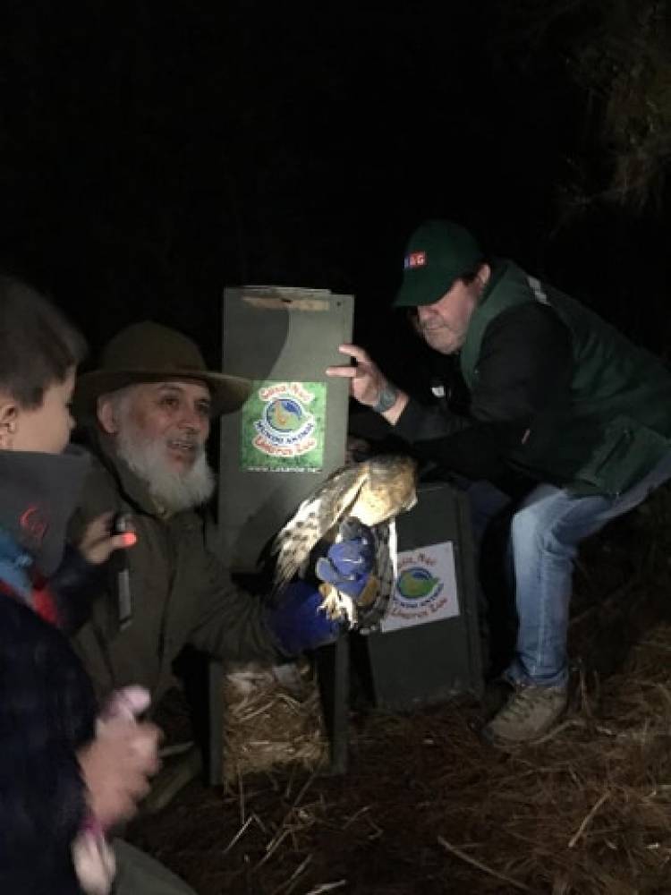 “Casa Noé, Mundo Animal” libera 10 lechuzas en sector embalse Ancoa