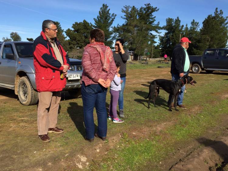 Rentería en contra de ley que prohíbe carreras de galgos