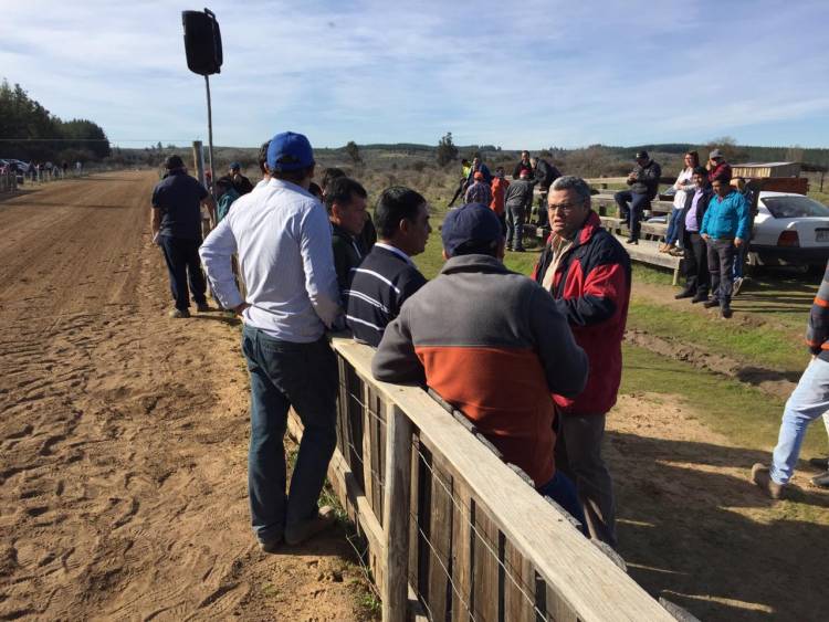 Rentería en contra de ley que prohíbe carreras de galgos