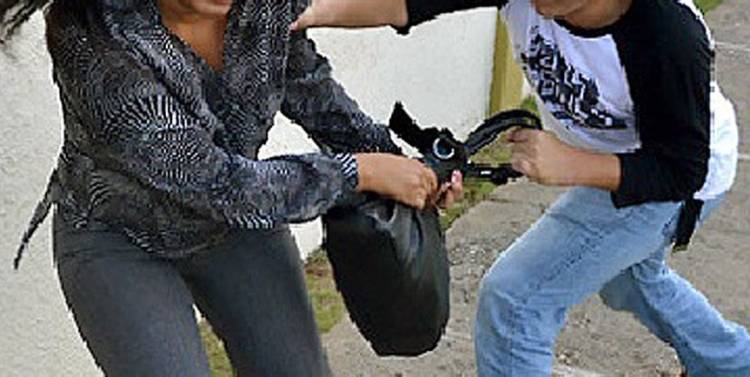 Delincuentes asaltan a dueña de casa a plena luz del día y la arrastran para intentar robarle su cartera