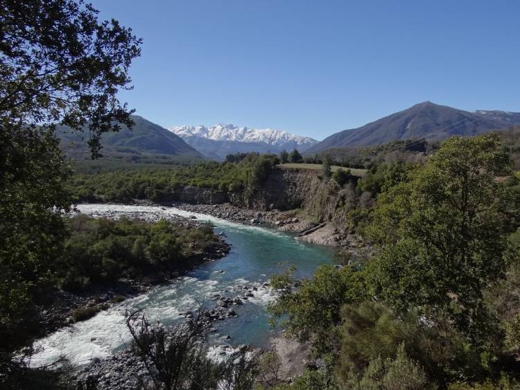 Indignación en el Maule sur por no incluir a comunas de Linares y Cauquenes en “emergencia agrícola”