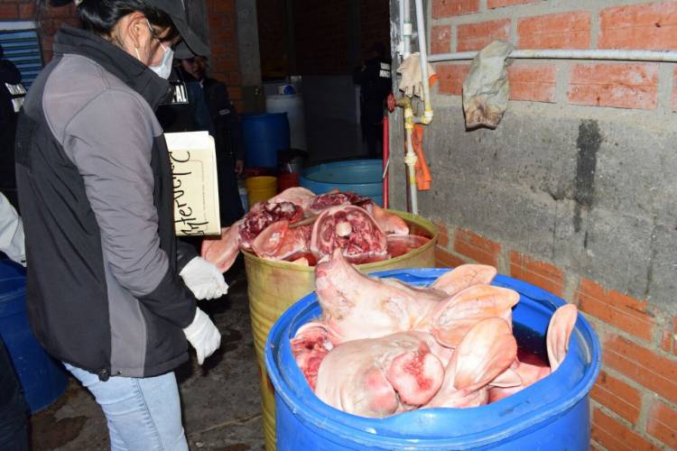 Un detenido por "matadero clandestino" en localidad de San Dionisio en Colbún