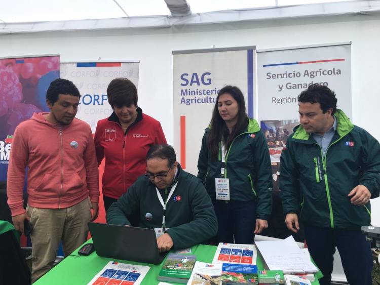 Gobernadora de Linares invitó a frambueseros a inscribirse en registro SAG para temporada de exportaciones 2019-2020