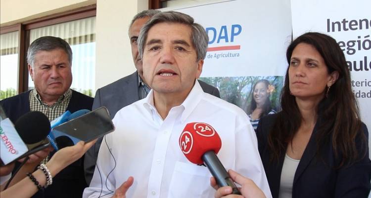 INDAP decide aplicar baja en intereses de créditos a campesinos