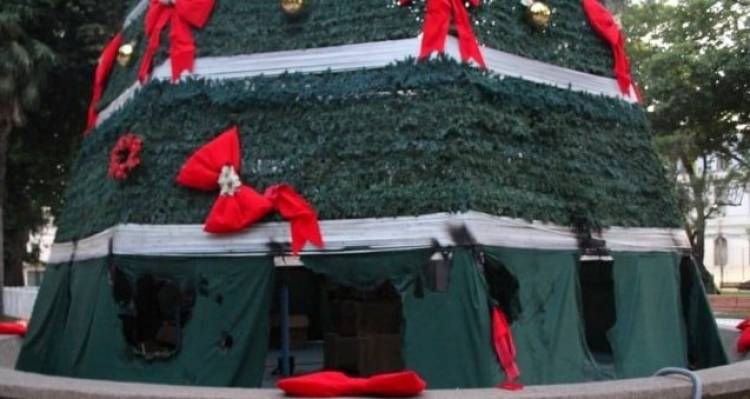 Una mujer y tres hombres, entre ellos estudiantes universitarios formalizados por daños al “Árbol de Los Deseos”