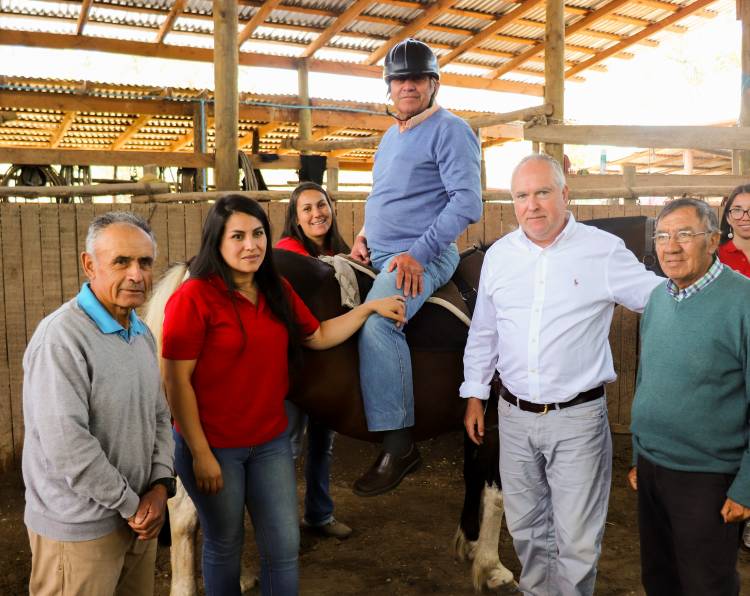 Destacan plan de equinoterapia para adultos mayores en Longaví