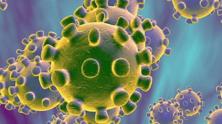 Especialistas en salud de la Universidad de Talca sobre el Coronavirus: no es necesario que toda la población use mascarillas