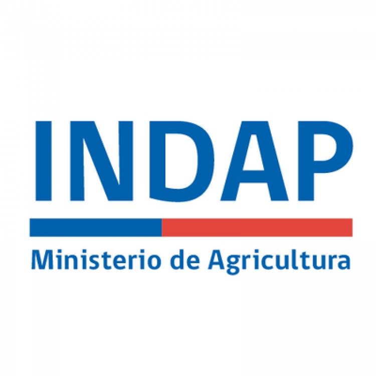 Agro confirma caso positivo de Covid-19 en funcionaria de Indap Maule