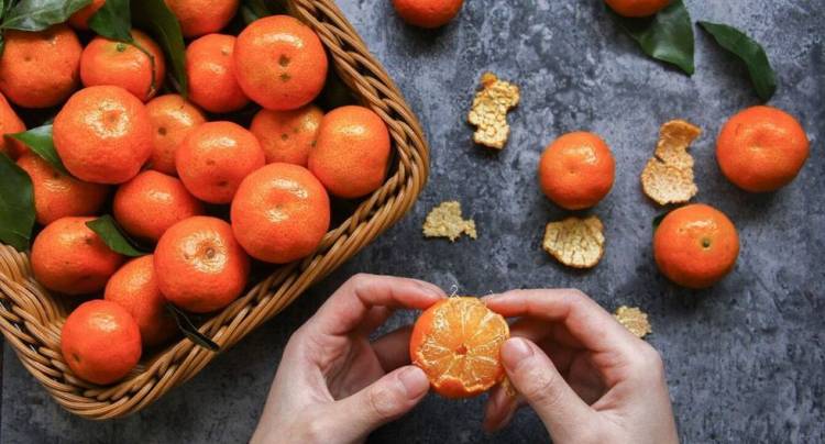 Nutricionistas de la UTalca recomiendan mantener una alimentación saludable y natural durante la cuarentena debido a la pandemia del Covid-19