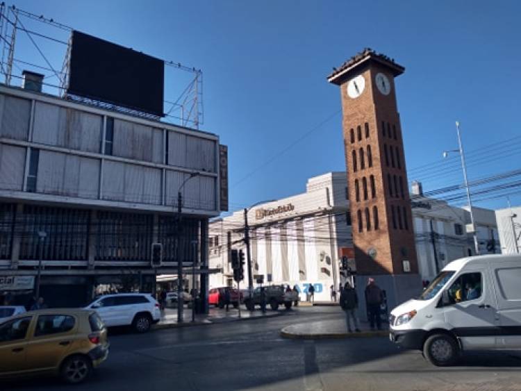 Empresario de los berries dispone de 5 camionetas y bodegas para apoyar acciones solidarias en torno a la pandemia del Covid-19