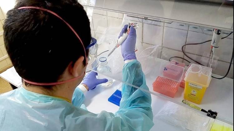 Hospital de Linares comenzó a procesar el examen PCR para Covid-19