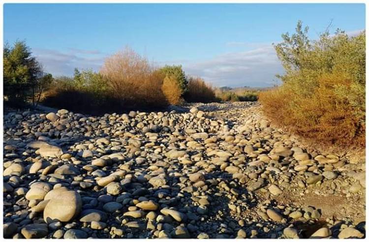 Movimiento “Ancoa Santuario Libre”: regantes no están respetando el caudal ecológico