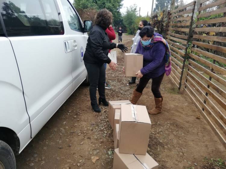 En Colbún han entregado más de mil cajas de alimento