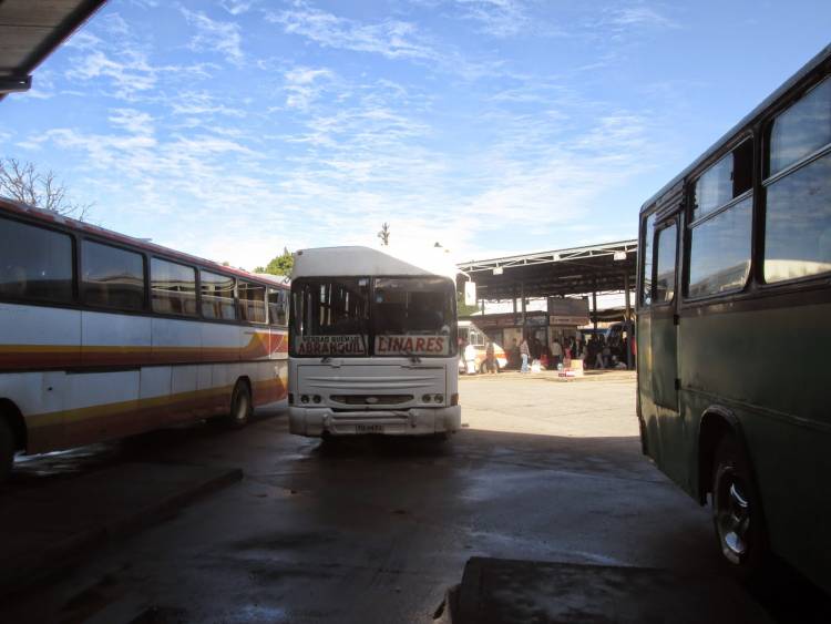 Paro de buses rurales en el Maule 