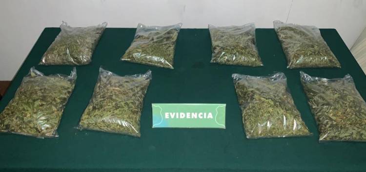 Carabineros decomisa 2 kilos y un medio de marihuana