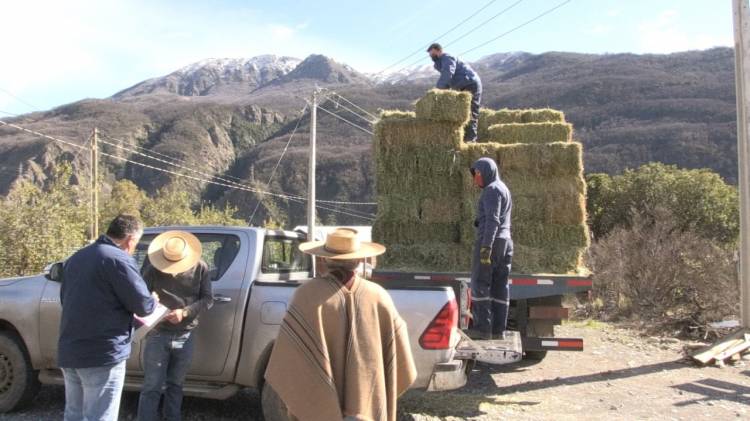 Entregan fardos a más de 900 campesinos de Colbún