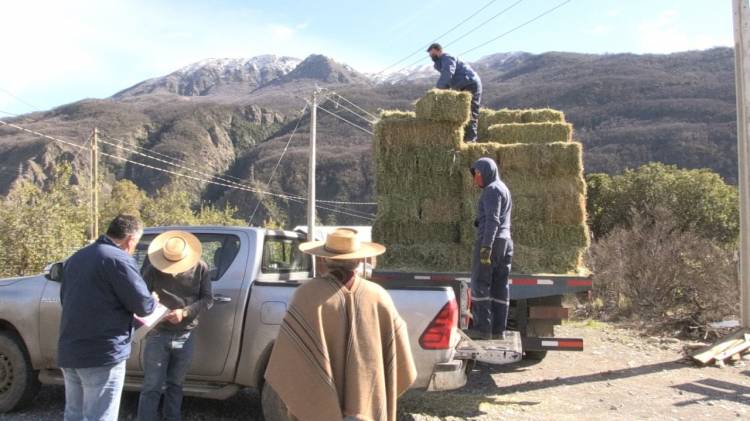 Entregan fardos a más de 900 campesinos de Colbún