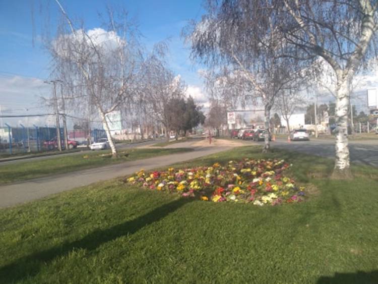 Confirman remodelación de la avenida Aníbal León Bustos de Linares