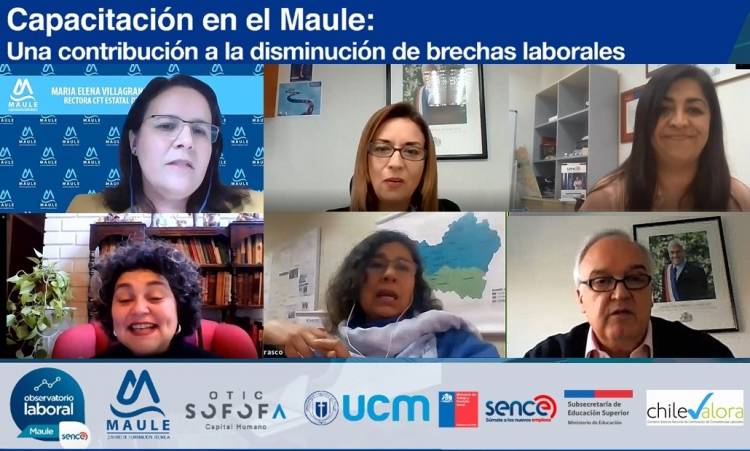 Resultados de ENADEL 2019 y rol de capacitación en disminución de brechas laborales fueron claves en webinar del CFT Maule, Observatorio Laboral y SENCE