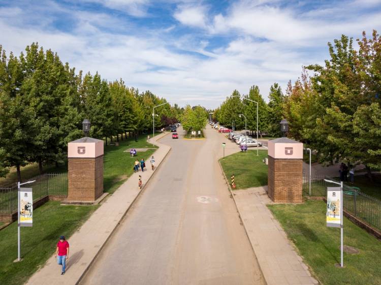 Junta directiva de la UTalca aprobó el cierre de la Facultad de Ciencias Forestales