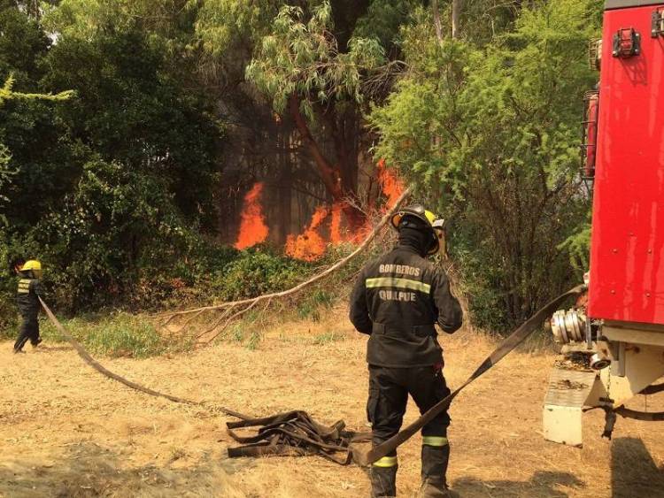 Agro refuerza necesidad de prevenir ocurrencia de incendios forestales en el Maule