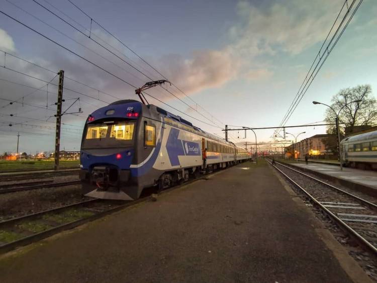 Tren Chillán suma nuevos horarios de salida por aumento de viajes inter-regionales