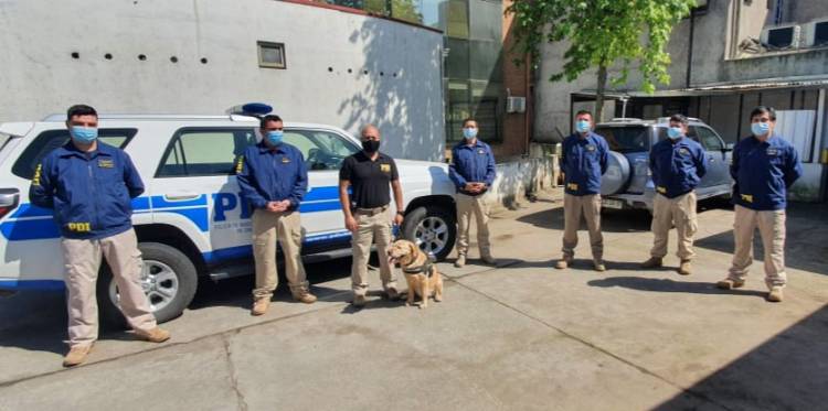 Perro "Akita” deja la PDI tras ocho años detectando drogas