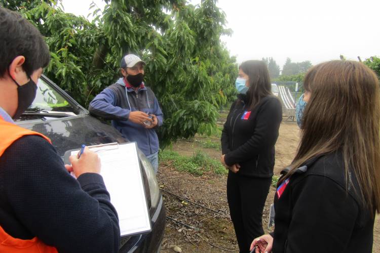 Aplican millonaria multa a empresa frutícola en Longaví por no cumplir medidas sanitarias por el Covid-19 y falencias de higiene