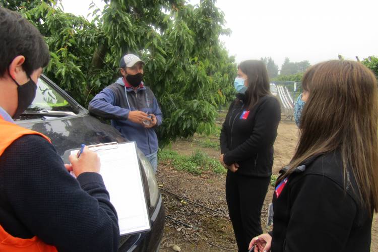 Aplican millonaria multa a empresa frutícola en Longaví por no cumplir medidas sanitarias por el Covid-19 y falencias de higiene 