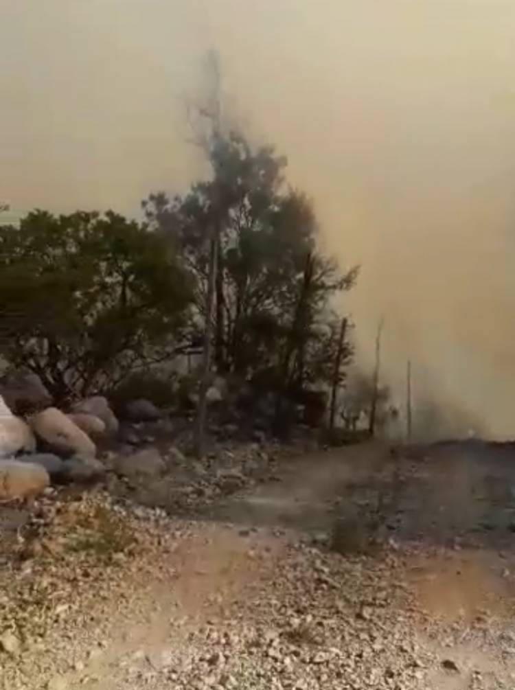 Municipio activa ABC de la emergencia por incendio forestal al interior del Santuario de la Naturaleza "Achibueno"