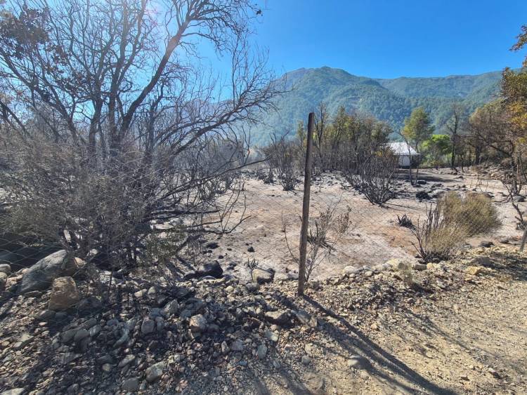 Desesperado llamado de las autoridades a la ciudadanía a prevenir incendios forestales ante aumento de temperaturas