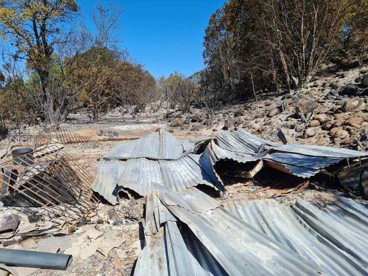 Una fogata mal apagada habría sido la causa del incendio forestal al interior del Santuario de la Naturaleza “Achibueno”