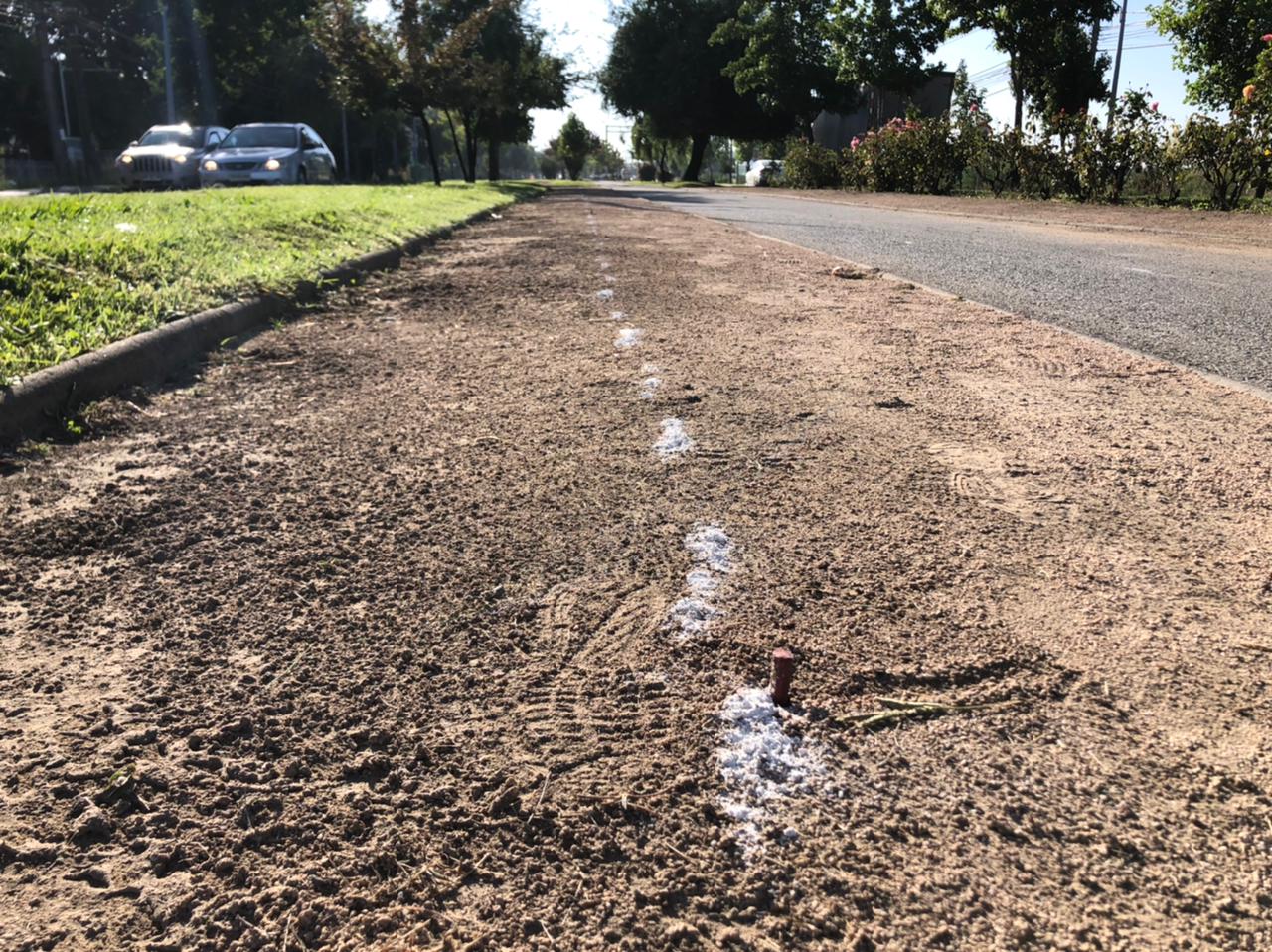 Alerta por riesgo de accidente en bandejón central de la avenida Aníbal León Bustos