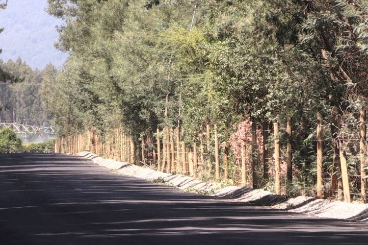 Significativo avance tiene el asfalto del camino entre Quinamávida y Los Coligües en Colbún