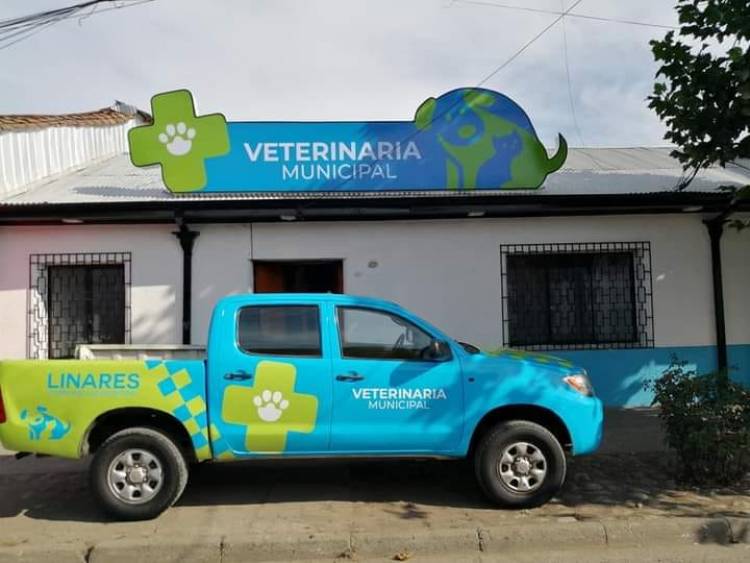 Este lunes comienza el trabajo de la Clínica Médico Veterinaria de Linares